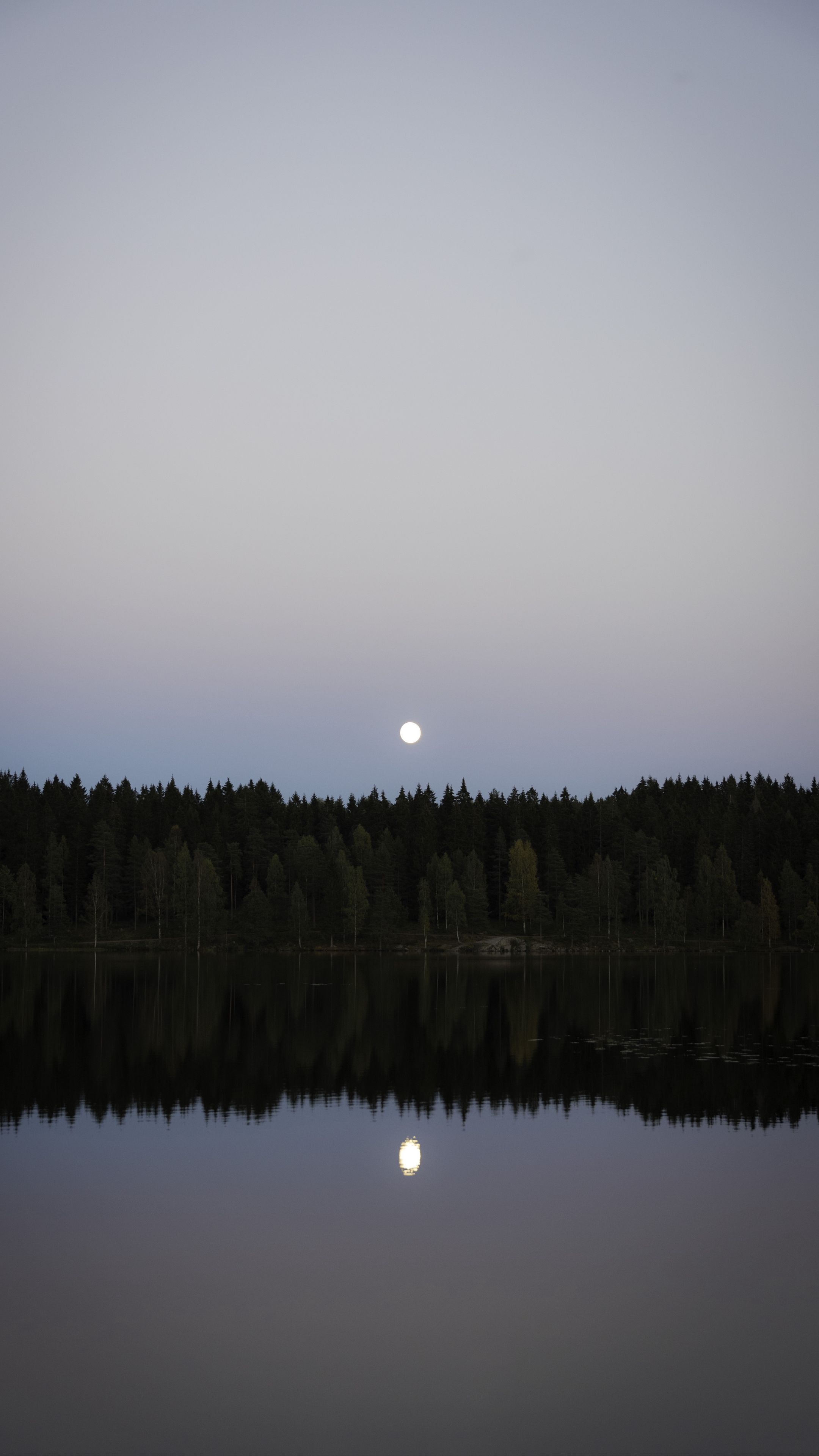 Download wallpaper 2160x3840 lake, forest, moon, reflection, water