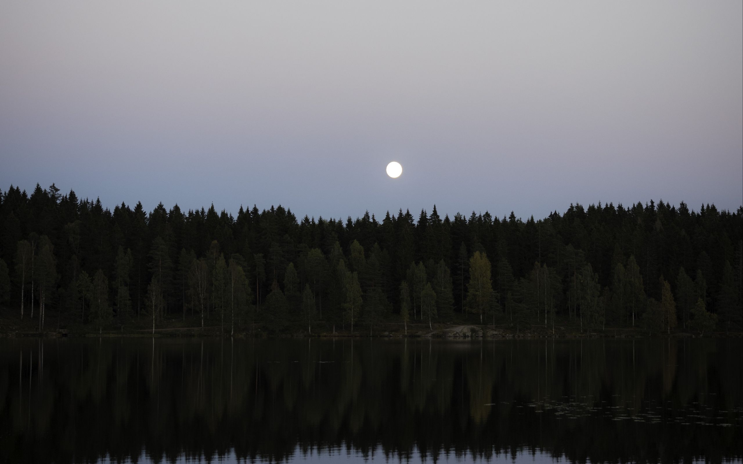 Download wallpaper 2560x1600 lake, forest, moon, reflection, water