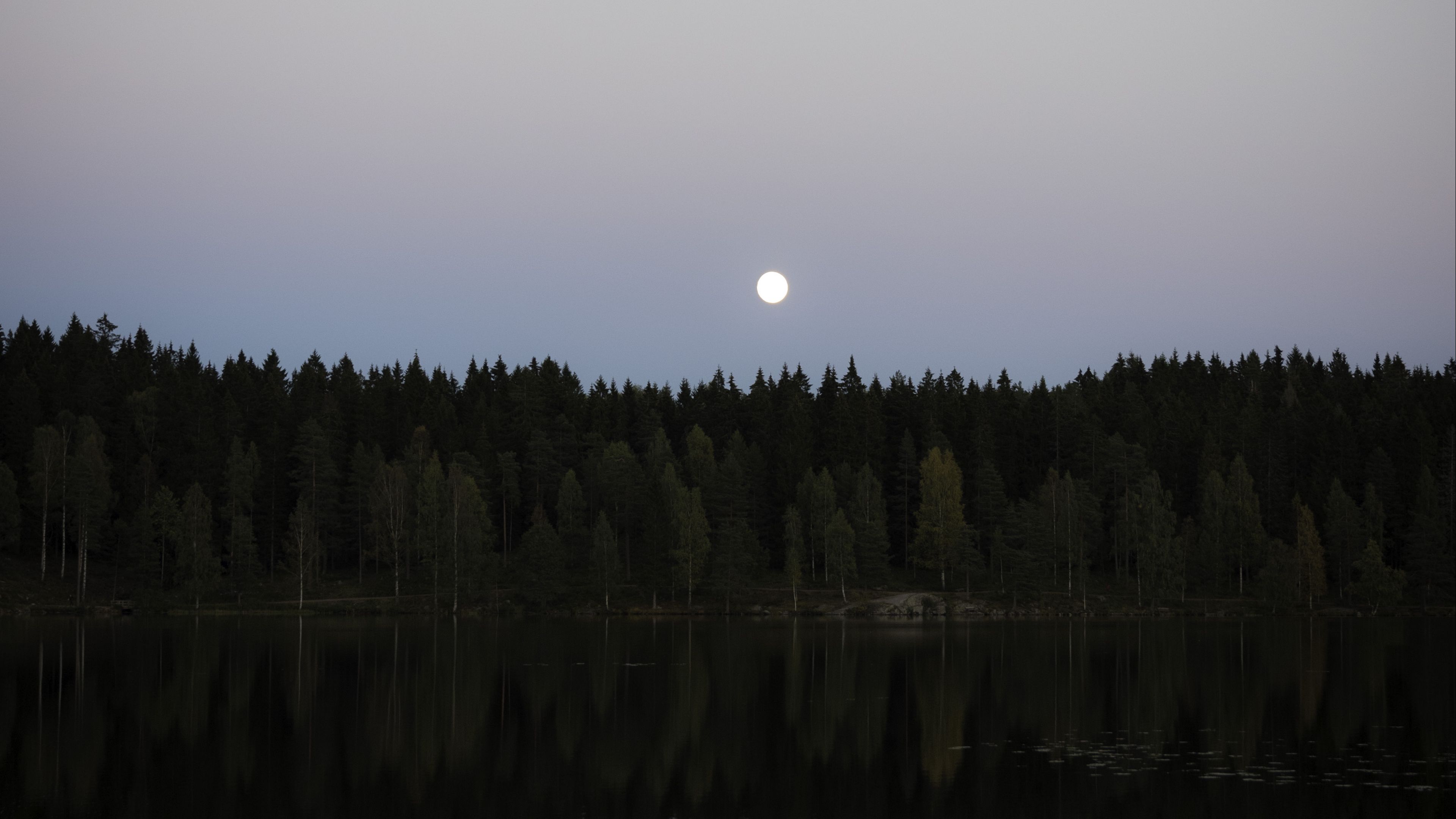 Download wallpaper 3840x2160 lake, forest, moon, reflection, water