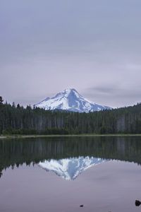Preview wallpaper lake, forest, mountain, peak, landscape