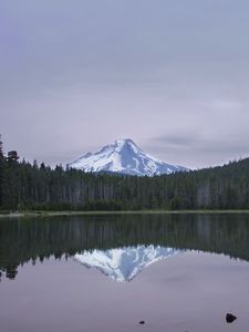 Preview wallpaper lake, forest, mountain, peak, landscape