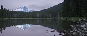 Preview wallpaper lake, forest, mountain, peak, landscape