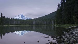 Preview wallpaper lake, forest, mountain, peak, landscape