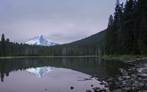 Preview wallpaper lake, forest, mountain, peak, landscape