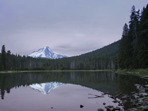 Preview wallpaper lake, forest, mountain, peak, landscape