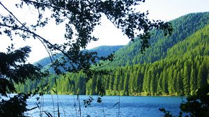 Preview wallpaper lake, forest, mountain, branch, landscape