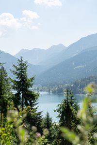 Preview wallpaper lake, forest, mountains, trees, shore