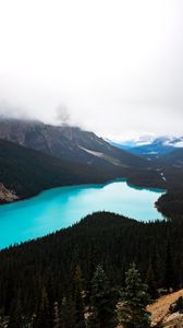 Preview wallpaper lake, forest, mountains, aerial view, landscape