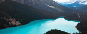 Preview wallpaper lake, forest, mountains, aerial view, landscape