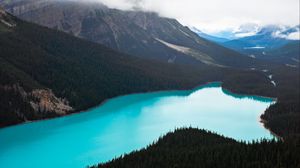 Preview wallpaper lake, forest, mountains, aerial view, landscape