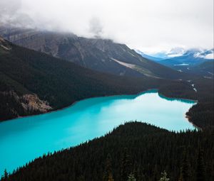 Preview wallpaper lake, forest, mountains, aerial view, landscape