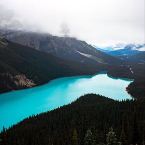 Preview wallpaper lake, forest, mountains, aerial view, landscape