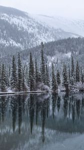 Preview wallpaper lake, forest, mountains, snow, landscape