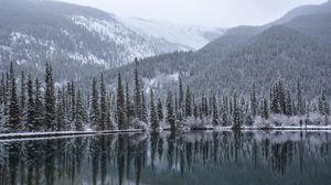Preview wallpaper lake, forest, mountains, snow, landscape