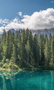 Preview wallpaper lake, forest, mountains, clouds, water, trees, landscape