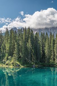 Preview wallpaper lake, forest, mountains, clouds, water, trees, landscape