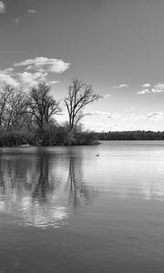 Preview wallpaper lake, forest, reflection, clouds, black and white, nature