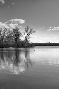 Preview wallpaper lake, forest, reflection, clouds, black and white, nature