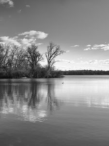Preview wallpaper lake, forest, reflection, clouds, black and white, nature