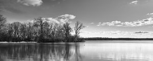 Preview wallpaper lake, forest, reflection, clouds, black and white, nature