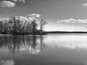 Preview wallpaper lake, forest, reflection, clouds, black and white, nature