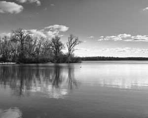 Preview wallpaper lake, forest, reflection, clouds, black and white, nature