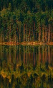 Preview wallpaper lake, forest, reflection, trees, shore, landscape