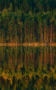 Preview wallpaper lake, forest, reflection, trees, shore, landscape