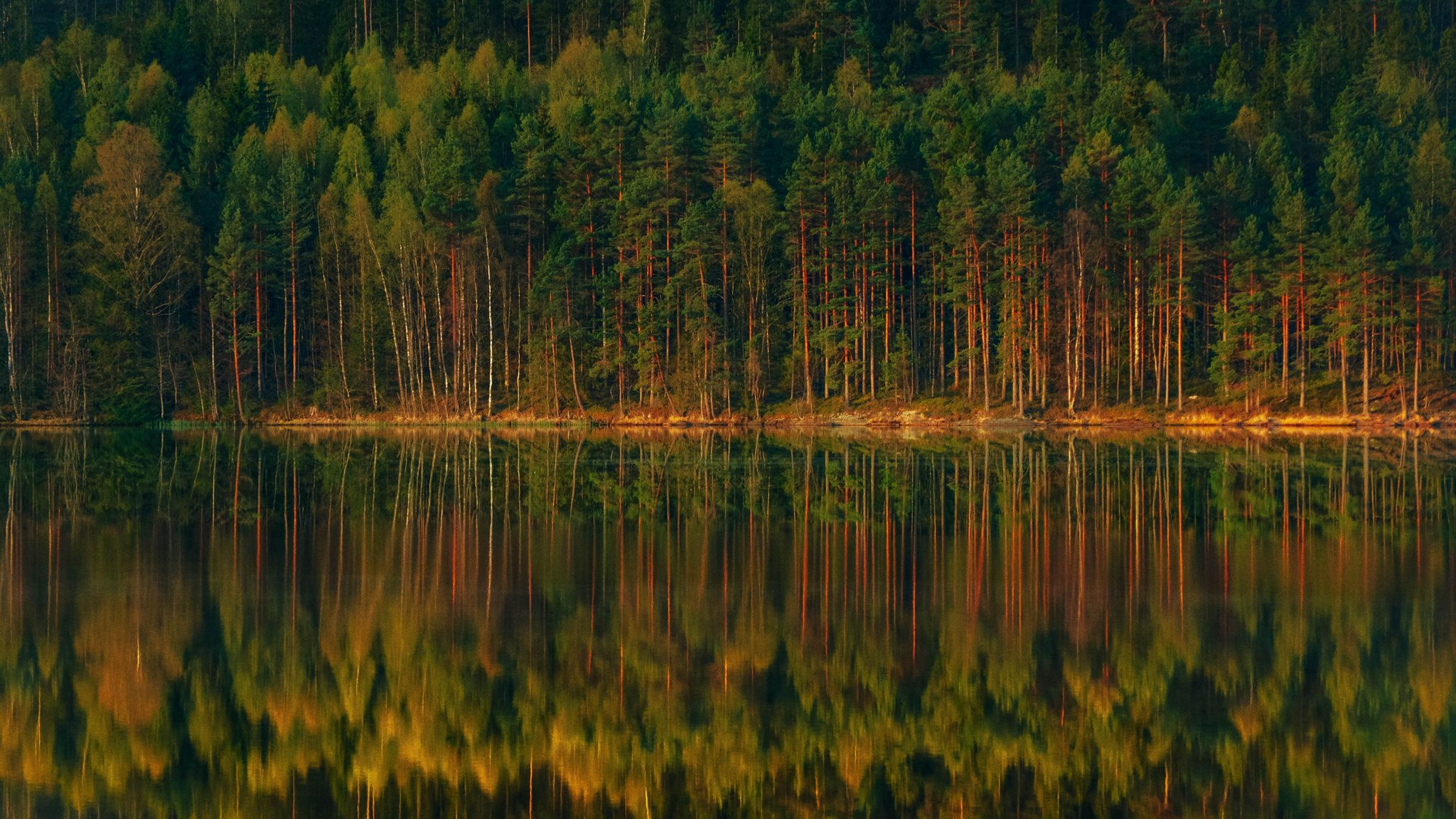 Download wallpaper 2048x1152 lake, forest, reflection, trees, shore