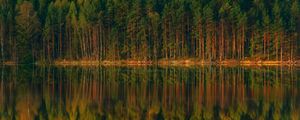 Preview wallpaper lake, forest, reflection, trees, shore, landscape