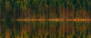 Preview wallpaper lake, forest, reflection, trees, shore, landscape