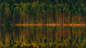 Preview wallpaper lake, forest, reflection, trees, shore, landscape