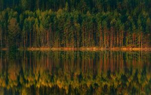 Preview wallpaper lake, forest, reflection, trees, shore, landscape