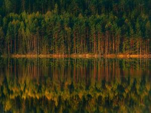 Preview wallpaper lake, forest, reflection, trees, shore, landscape