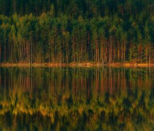Preview wallpaper lake, forest, reflection, trees, shore, landscape