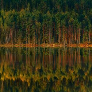 Preview wallpaper lake, forest, reflection, trees, shore, landscape