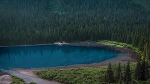 Preview wallpaper lake, forest, shore, slope, landscape
