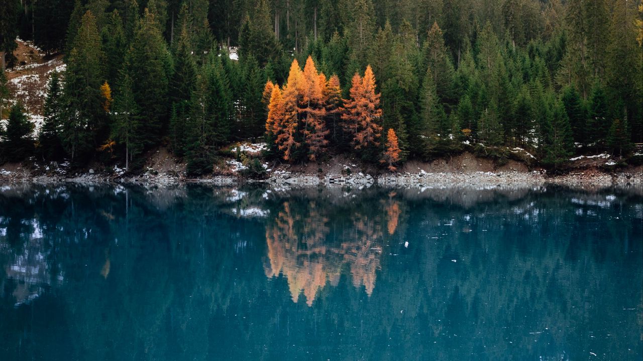 Wallpaper lake, forest, slope, water, reflection