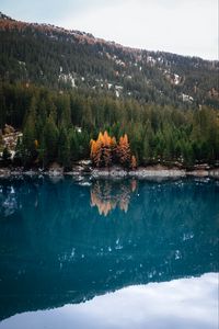 Preview wallpaper lake, forest, slope, water, reflection