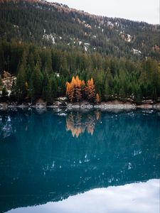 Preview wallpaper lake, forest, slope, water, reflection