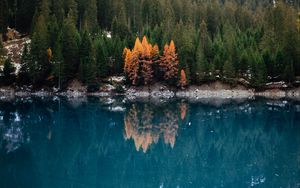 Preview wallpaper lake, forest, slope, water, reflection