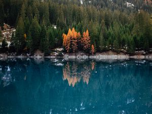 Preview wallpaper lake, forest, slope, water, reflection