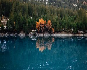 Preview wallpaper lake, forest, slope, water, reflection
