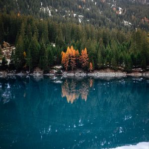 Preview wallpaper lake, forest, slope, water, reflection