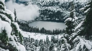 Preview wallpaper lake, forest, snow, aerial view, mountains, winter