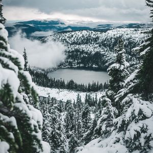 Preview wallpaper lake, forest, snow, aerial view, mountains, winter