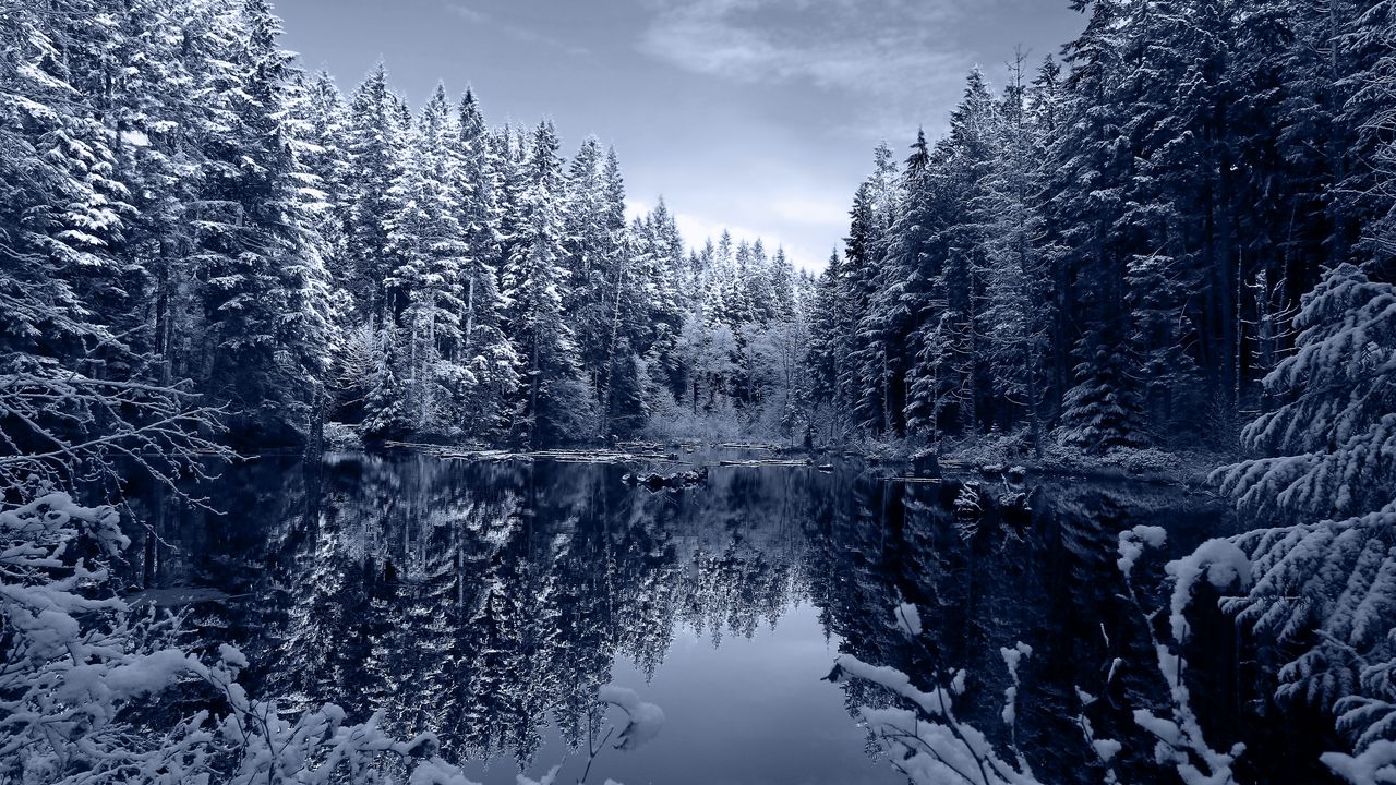 Wallpaper lake, forest, snow, winter, landscape, beauty