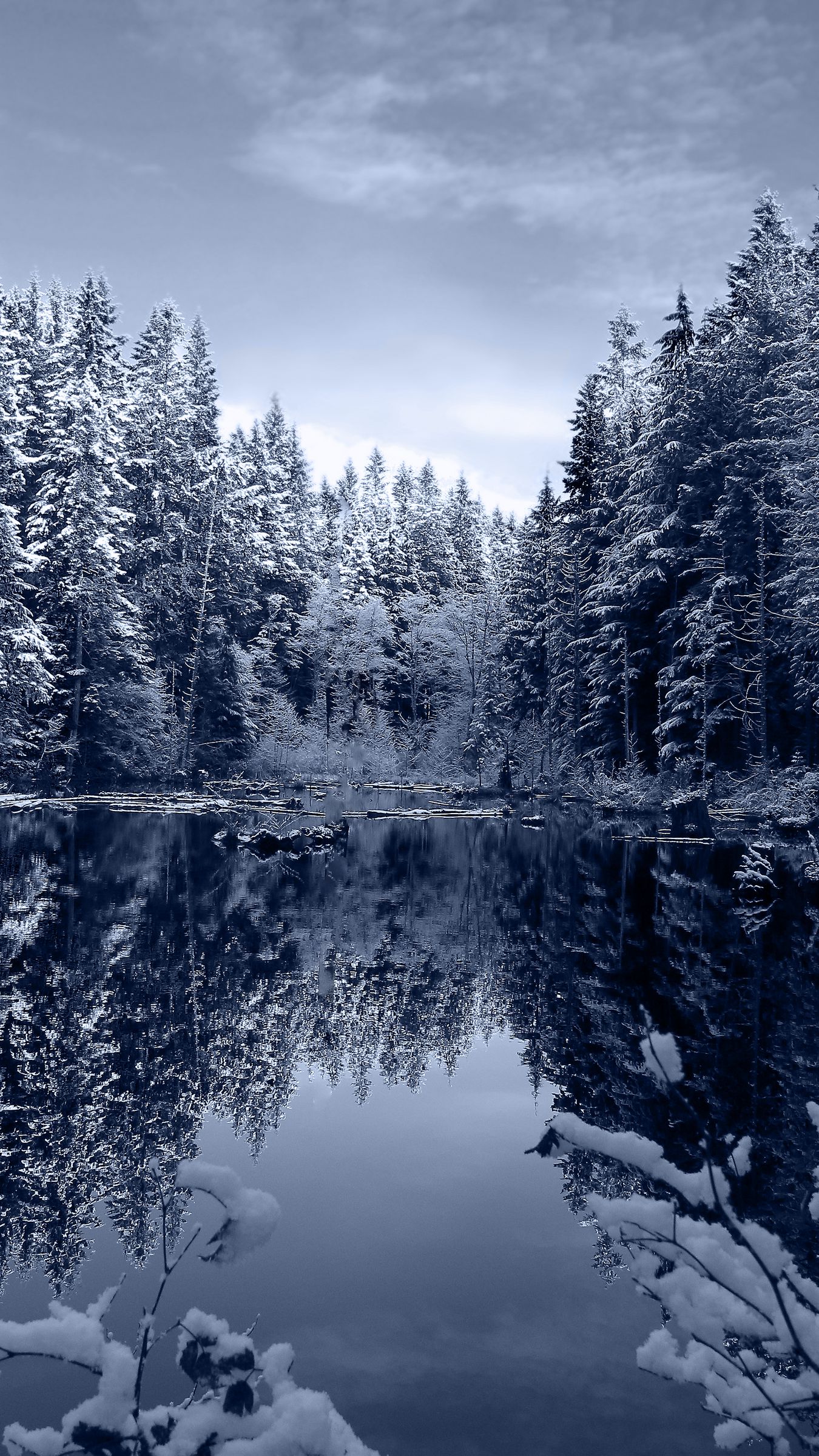Download Wallpaper 1350x2400 Lake Forest Snow Winter Landscape