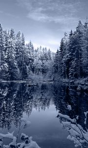 Preview wallpaper lake, forest, snow, winter, landscape, beauty