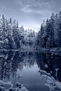 Preview wallpaper lake, forest, snow, winter, landscape, beauty